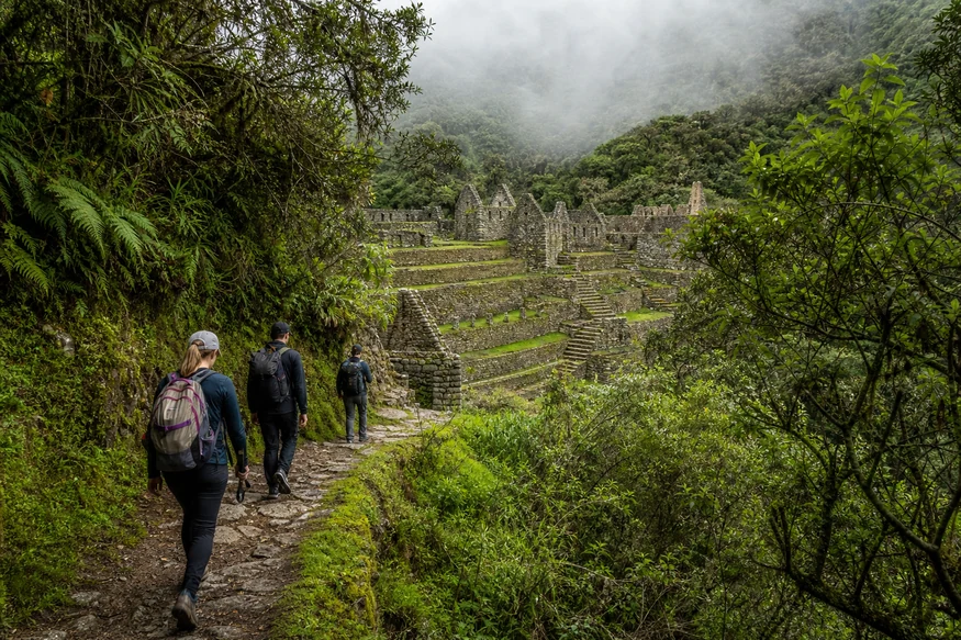 Short Inca Trail hikers approaching Wiñay Wayna through cloud forest