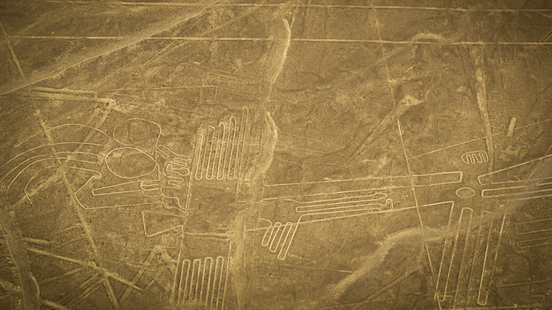 Aerial view of the Nazca Lines desert geoglyphs during the classic 35-minute scenic flight in Peru