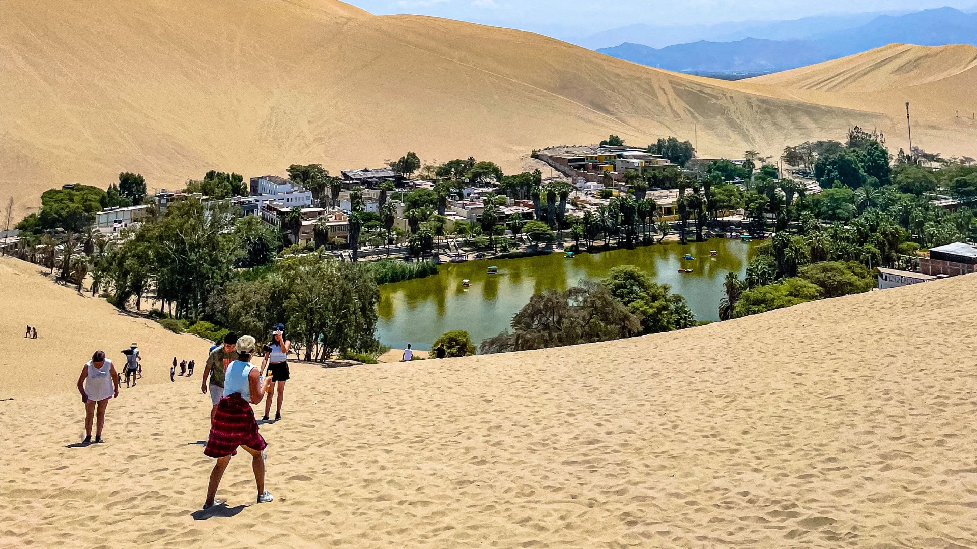 Scenic flight over the Nazca Lines and dune buggy adventure at Huacachina Oasis full day tour from Lima